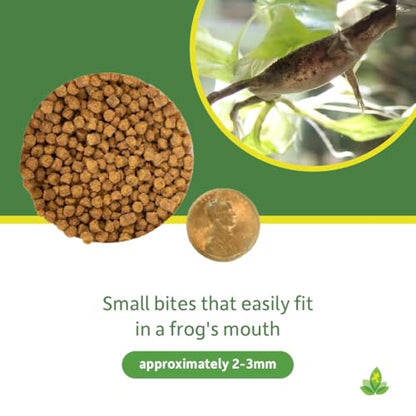 Josh's Frogs Aquatic African Dwarf Frog Food Pellets (1.85 oz) - size: 1.85 Ounce (Pack of 1)