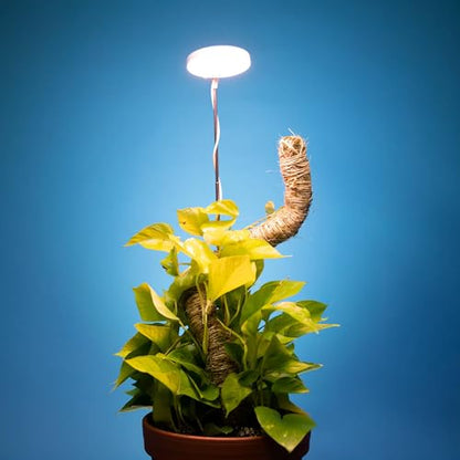 Mossify LED Grow Lights for Indoor Plants Full Spectrum – Adjustable Height (8”-28”), Dimmable Brightness, Programmable Timer, Long Lifespan – Ideal Grow Lights for Healthy Plant & Houseplants (White) - color: White