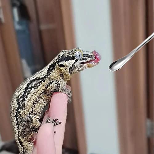 2Pcs Reptile Powder Fruit Mixing Stirring Food Feeding Spoon fit Crested Gecko Gargoyle Bearded Dragon - size: 0.5 Ounce (Pack of 2)