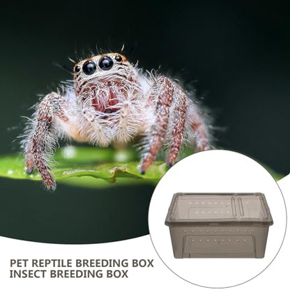 Reptile Feeding Box Portable Small Snake Terrarium Habitat Mini Pet Breeding Cage Hatching Container Transparent Lizard Houses for Tarantula Spider Scorpion Gecko Frog 2PCS