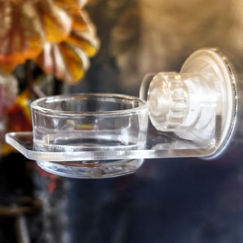 Gecko Feeder - Gecko Feeding Ledge Suction Cup, Reptile Food Feeder Bowl, Suction Cup Food Tray Lizard | Acrylic, Magnet, Bowls, Reptile Feeding Ledge for Lizards, Chameleons, Tree Frogs, - color: B