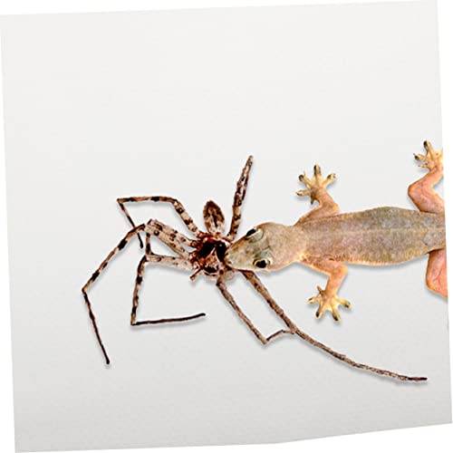 Eva Reptile Carpet Mat Non-Adhesive Reptile Tank Bedding Bearded Dragon Substrate Soft Lizard Climbing Decor Tortoise Bedding