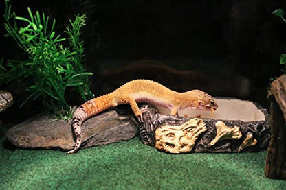 Penn-Plax Reptology Reptile Fossil Rock Food/Water Dish – Great for Bearded Dragons, Geckos, Chameleons, Snakes, Hermit Crabs, and Many More – Medium - size: Medium