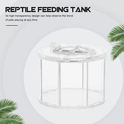 Box Insect Display Containers Reptiles Breeding Container Pet Supply Reptile -Escape Case Showing Case Clear Habitat Crawling Pet Holder Breeding Cage