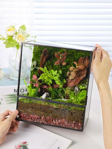 REDHUGO Glass Planter Terrariums with Door, Glass Terrarium Glass Greenhouse, Geometric Plants Terrariums Planter for Moss, Succulent, Indoor Tabletop Centerpiece, Rectangle, Black (Terrarium ONLY) - color: Black