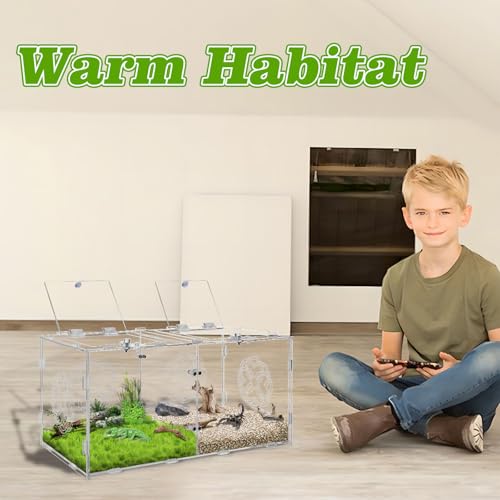 Acrylic Jumping Spider Enclosure with Double Compartments, Large Size,15.7 * 7.8 * 7.8 inches, Reptile Terrarium Aquarium Breeding Tank for Reptiles Spiders Snake Lizard - color: transparent