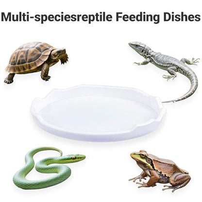 2 Pack Snail Food and Water Bowl，atural Design Food Bowl for Pet Snails, Garden Snails Pet Land Snail Supplies(White) - color: white