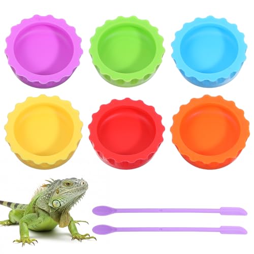 6Pcs Crested Gecko Tank Accessories: Reptile Spoon & Feeding Cups | Long Handle Feeding Tool, Gecko Feeder & Corner Water Bowl, for Reptile Tanks, Reusable Colorful ,Small Reptile Food Dish