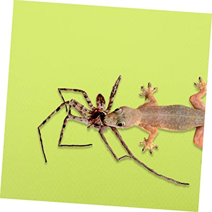 BESPORTBLE Leopard Gecko Bearded Dragon Snake Terrarium Liner Reptile Carpet Eva Pet Substrate Mat - color: Light Green