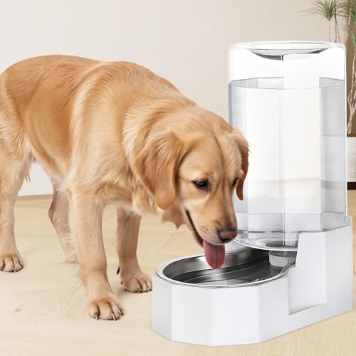 Sfozstra Automatic Pet Water Dispenser: 8L White Gravity Stainless Steel Water Bowl - with Specialized Brush - Angular Water Feeder for Senior Pet Dogs with Neck Pain Relief in Living Room Bedroom | Includes Specialized Brush, Raised Design for Senior Pet