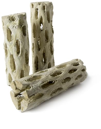 Galapagos 05270 Cholla Wood for Aquarium ,(pack of 3)