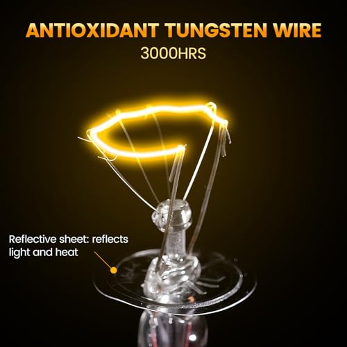 REPTITRIP 100W Reptile Heat Lamp, Full Spectrum UVA UVB Sun Light for Bearded Dragon Lizard Turtle