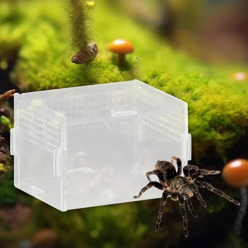 Reptile Breeding Box Terrarium Clear Animal Habitat Cage with Ventilation Holes for Geckos Frogs Hermit Crabs- 10x8x7cm - size: 10x8x7cm