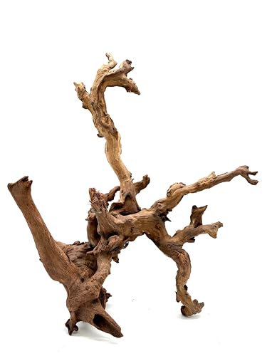 Large Generic Natural Coral Wood Branch Decoration, Brown Driftwood, 10 Inch, Waterproof, for Aquarium Terrarium Fish Tank, Reptile Climbing 12-24 inch 2Pc