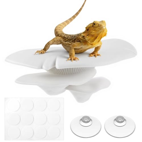 Mushroom Decor Climbing Hold Kit Realistic Terrarium Plants Concealed | Jumping Spider Habitat, Enclosure Decorate Accessories, for Leopard Geckos, Crested Geckos, Tree Frogs, Small Lizards - color: white
