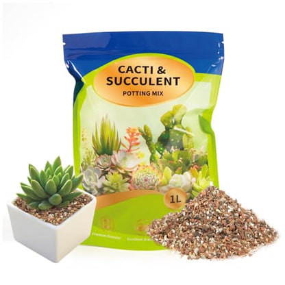Doter Succulent & Cactus Soil Potting Mix 1qt, Chunky Dirt with Fast Draining Fits for Bonsai, Terrarium and Houseplant - color: Succulent & Cactus Soil, size: 1qt