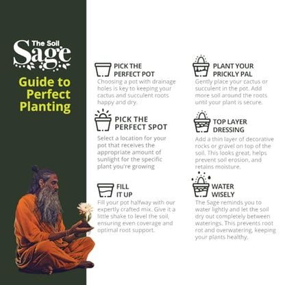 The Soil Sage 2.5 Dry Qt Cactus & Succulent Potting Soil Mix, USA Made - Gritty, Fast Draining, Soilless, Root Boosting, Peat-Free - Growth of Cactus, Succulents, Jade, Aloe Vera - size: 2.5 Qt