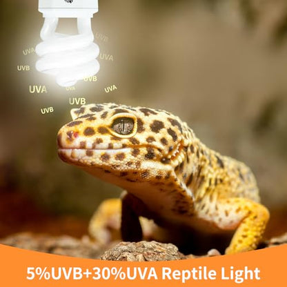 UVA UVB Reptile Light 15W 10.0,Desert Terrarium Compact Fluorescent Lamp,UVB Reptile Light Bulb for Snake,Spider,Bearded Dragon - size: 10.0-15