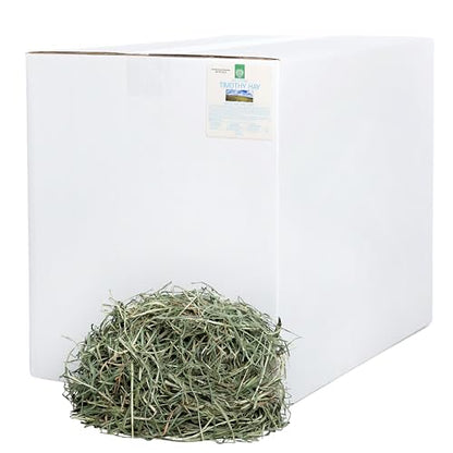 Small Pet Select 3rd Cutting Timothy Hay, Animal Food for Guinea Pig, Rabbit, Hamster, Bunny, or Chinchilla, Natural Hay Grown in The USA, 40lb - size: 40 Pound (Pack of 1)