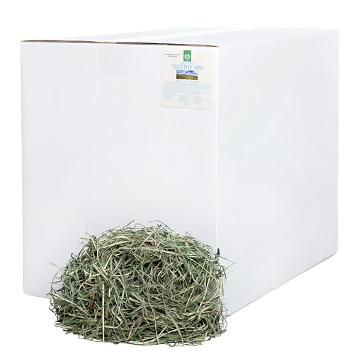 Small Pet Select 3rd Cutting Timothy Hay, Animal Food for Guinea Pig, Rabbit, Hamster, Bunny, or Chinchilla, Natural Hay Grown in The USA, 40lb - size: 40 Pound (Pack of 1)