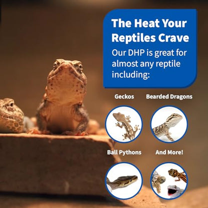Pangea 50W Deep Heat Projector for Reptiles with Carbon Fiber Filament, Core Warming Infrared A and B Bulb for Basking Lizards, Designed for Ceramic Sockets (50 Watt)