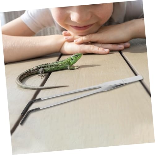 POPETPOP 2pcs Stainless Steel Feeding Tongs Rubber Tips Curved Aquarium Tweezers for Reptile Feeding for Snakes Geckos and Terrarium Supplies