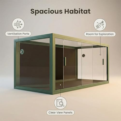 120 Gallon Reptile Terrarium 4x2x2, Extra Large Glass Enclosure with Sliding Doors, Heavy-Duty Screen Top Ventilation, Secure Anti-Escape Habitat for Bearded Dragons, Lizards & Snakes - Green