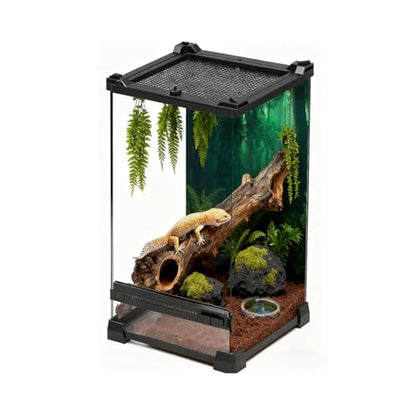 Reptile Tall Glass Terrarium Rainforest Habitat Single Door with Screen Ventilation,Small Reptile Terrarium for Spiders, Tarantulas, Snail, Mantis, Lizard (8 * 8 * 12 inch) - size: 8*8*12 inch