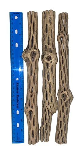 Awesome Aquatic Natural Cholla/Choya Wood 3 Pieces 12” for Shrimp Habitat and Food Treat Hermit Crabs Plecos Aquarium Decoration Lowers pH Hideouts and Chew Toys Reptiles Thorn Free Dried Organic - size: 3 pc 12 inch