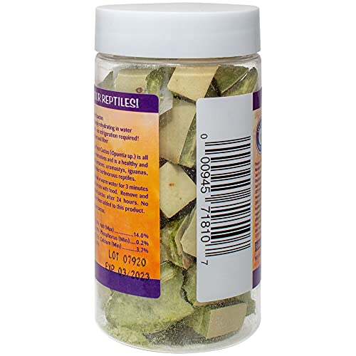 Healthy Herp Tortoise Treat Cactus, Nutritious Turtle Food - 0.25 oz (7.1g) | All Natural, Bearded Dragon Tank Accessories, Tortoise Habitat - for Bearded Dragons, Box Turtles, Aquatic Turtles