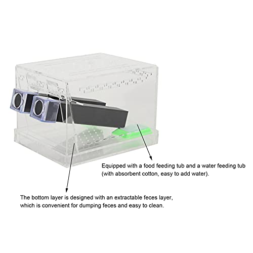Cricket Keeper with Tubes, High Transparency Acrylic Material Cricket Keeper for Office for Home(L)