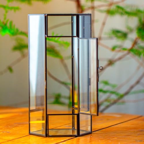 NCYP Small Glass Enclosure Terrarium with Mesh and Door for Spiders - Hexagon Shape Small Mantis Vented Glass Terrarium 4.9'' x 4.3'' x 9.4'', Tabletop Decor, Black (Plants Not Include) - size: 4.9'' x 4.3'' x 9.4''