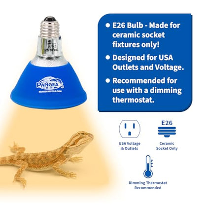 Pangea 50W Deep Heat Projector for Reptiles with Carbon Fiber Filament, Core Warming Infrared A and B Bulb for Basking Lizards, Designed for Ceramic Sockets (50 Watt)