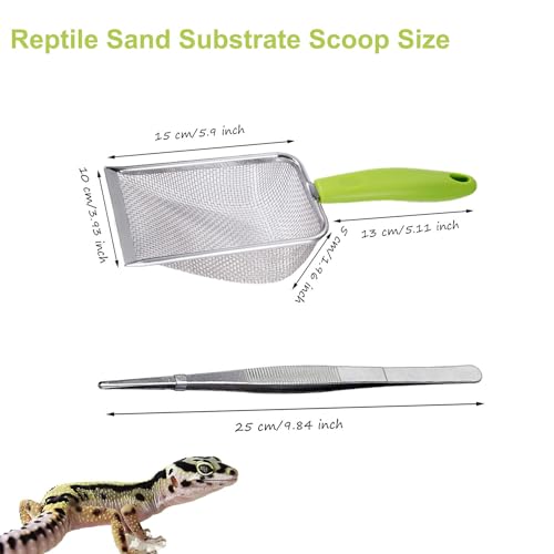 Reptile Sand Substrate Scoop Reptile Sand Fine Mesh Reptile Scooper Stainless Steel Terrarium Substrate Sand Bedding Litter Cleaner Scoop and Reptile Long Feeding Tongs Set (Green-2mm) - color: Green-2mm
