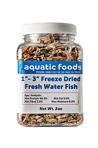 1"- 3" Fresh Water Freeze Dried Fish for Piranha, Large Fish, Turtles, Cats, Sugar Glider, Marmosets, Chinchillas, Squirrels, Hamsters…2oz Small Jar - size: 2 Ounce (Pack of 1)