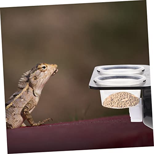 BESPORTBLE 1set Hanging Reptile Food Dishes Suction Cups Dual Compartment Feeder for Tortoise Gecko and Lizard Bowls for Easy Feeding and Hydration