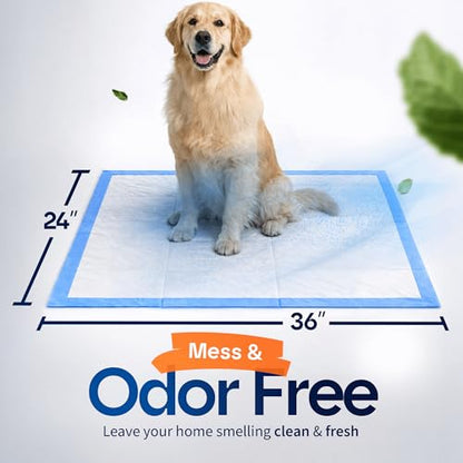 Healqu Disposable Underpads - Absorbent Incontinence Bed Pads for Adults, Kids, Elderly, and Pets - Fluid and Urine Bed Protection - Large, Thick, Fluff and Polymer Chux (24x36 Pack of 50) - size: 24x36" Pack of 50