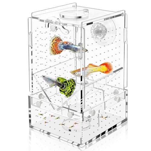 Breeder Box for Fish Tank, Fish Breeder Box for Aquarium, Acrylic Hatchery Incubator Tank with Suction Cups Isolation Box for Baby Fish Shrimp Betta and Guppy (Design to Contain Egg, 4x4x6.5”)
