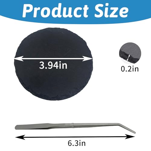 Hamiledyi Reptile Basking Platform Tortoise Feeding Dish Rock Reptile Food Bowl with Feeding Tweezers Landscape Habitat Decor for Crested Gecko Lizard Bearded Dragon Turtle (2 PCS Round)