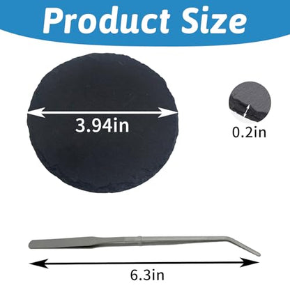 Hamiledyi Reptile Basking Platform Tortoise Feeding Dish Rock Reptile Food Bowl with Feeding Tweezers Landscape Habitat Decor for Crested Gecko Lizard Bearded Dragon Turtle (2 PCS Round)