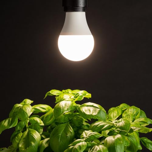 Back to The Roots Full Spectrum LED Grow Lights Value 2-Pack