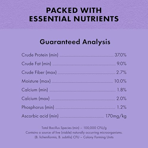 Zilla Pet Aquatic Turtle Sticks, Natural with Added Vitamins and Minerals, Nutrient-Rich Floating Food for Turtles, 1 lb