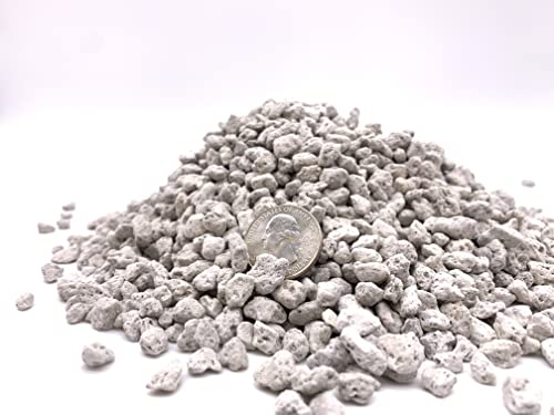 Pumice for Bonsai, Succulent, Cactus, Alocasia, Monstera, and Tropical Aroids | 2 Quarts Bag | 1/4” Particle Size | The Bonsai Supply - size: Pumice 2 Quarts