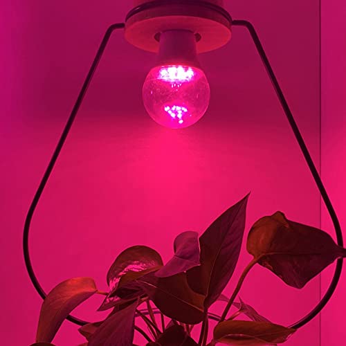 Grow Light Bulbs for Indoor Plants - Full Spectrum E26 A19 LED Lamp Bulb 12W - Balanced Spectrum 5000K with Red & Blue Light for Seeds, Greens, Hydroponics - 2 Pack