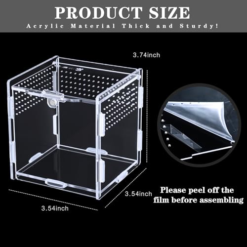 Suzile Jumping Spider & Tarantula Enclosure - Reptile & Hermit Crab Tank - Micro Habitat (3.5 x 3.5 x 3.7'')