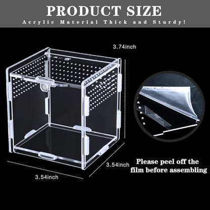 Suzile Jumping Spider & Tarantula Enclosure - Reptile & Hermit Crab Tank - Micro Habitat (3.5 x 3.5 x 3.7'')