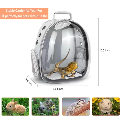 Bearded Dragon Carrier with Harness and Leash Set Large Small Animal Carrier Backpack Bubble Window Portable Small Pet Carrier for Reptile Lizard Rabbit Bird Guinea Pig Cat Travel Walking - color: Bearded Dragon Carrier