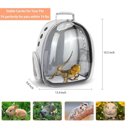 Bearded Dragon Carrier with Harness and Leash Set Large Small Animal Carrier Backpack Bubble Window Portable Small Pet Carrier for Reptile Lizard Rabbit Bird Guinea Pig Cat Travel Walking - color: Bearded Dragon Carrier