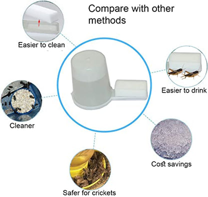 Auto Cricket Feeder & Keeper - Tube & Cup Feeding, Water Bottle & Crystals for Breeding
