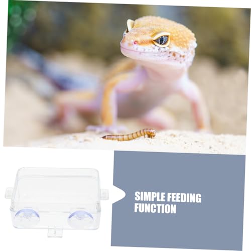 BESPORTBLE Suction Cup Food Bowl Reptile Accessory Bearded Dragon Water Bowl Multi-use Feeder Easy-Clean Reptile Dish